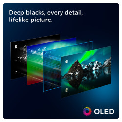 77oled809-12-5.jpg
